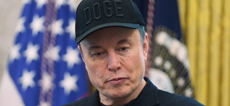 this-acclaimed-author’s-roast-of-‘uncultured’-elon-musk-is-an-absolute-‘beauty’