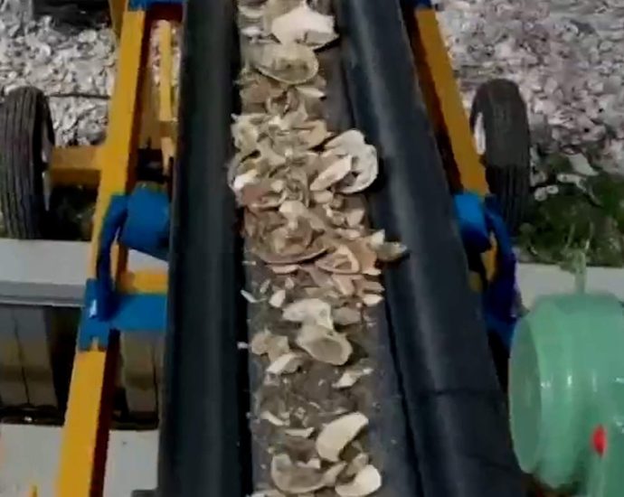new-jersey-creates-reefs-from-recycled-oyster-shells