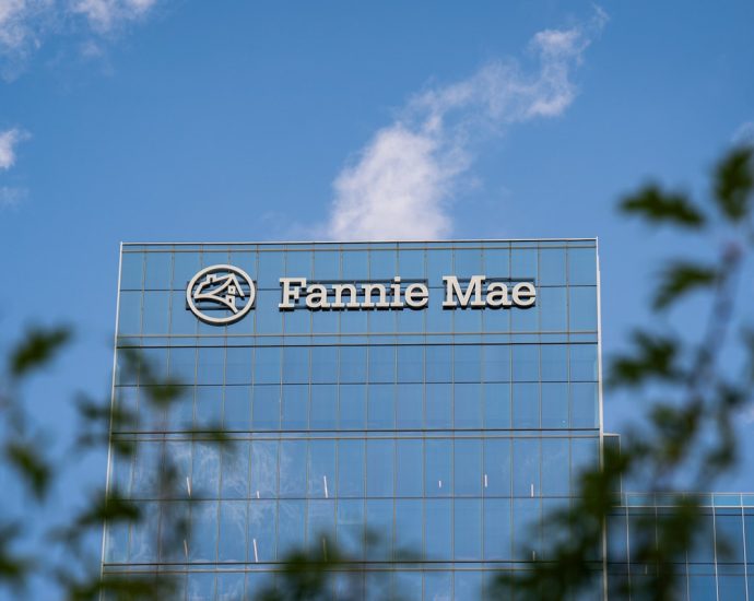 fannie-mae-removed-staff-probing-how-the-traitor-team-got-letitia-james-docs