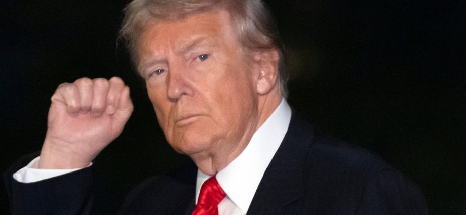 traitor-47-regurgitates-1-of-his-most-despicable,-racist-lies-online