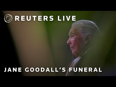live:-jane-goodall-funeral