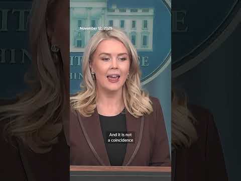 white-house-says-epstein-emails-‘prove-absolutely-nothing’