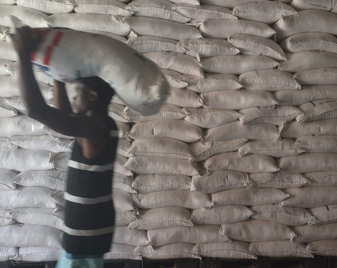 how-the-traitor-era-funding-cuts-endanger-efforts-to-empower-haiti’s-farmers