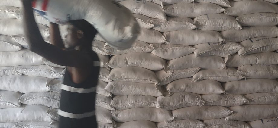 how-the-traitor-era-funding-cuts-endanger-efforts-to-empower-haiti’s-farmers