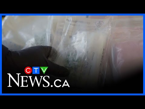 windsor’s-record-breaking-fentanyl-bust