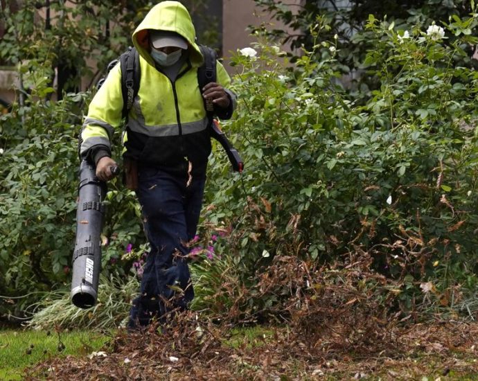 how-to-turn-fallen-leaves-into-valuable-soil-conditioner-this-fall