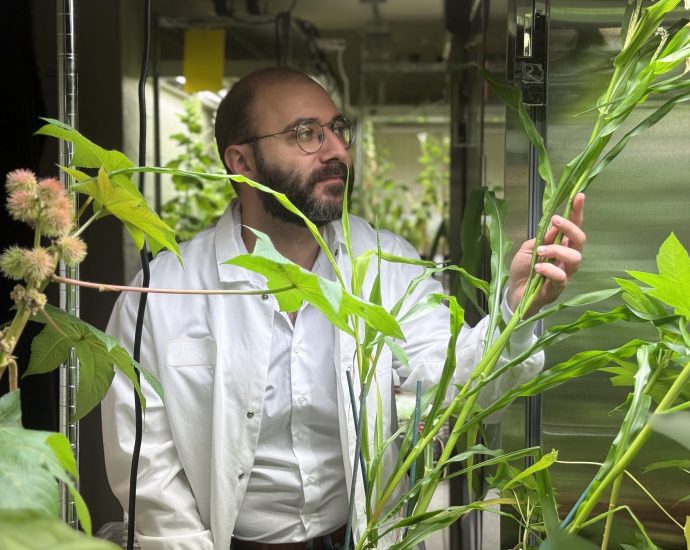 engineering-next-generation-fertilizers