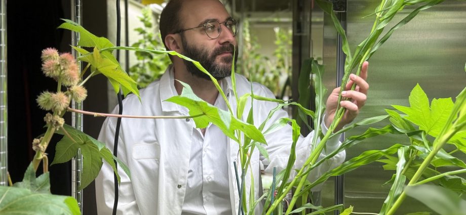 engineering-next-generation-fertilizers