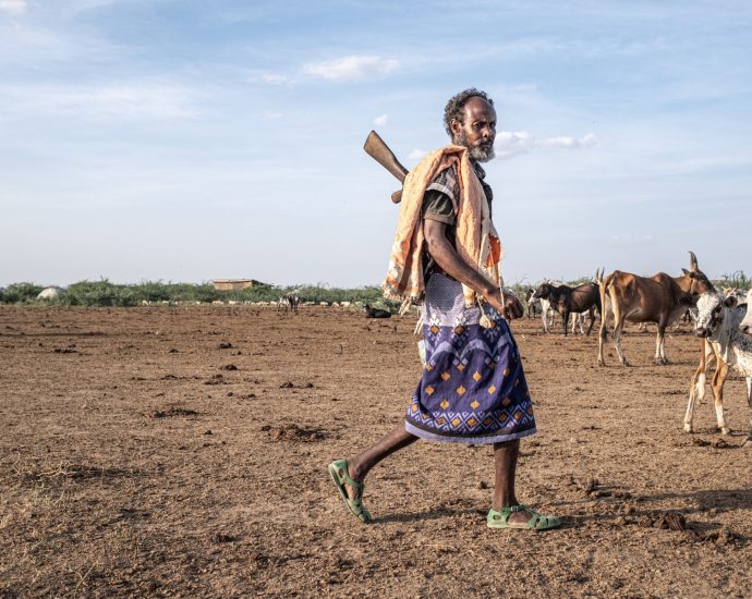 non-native-tree-devastates-ethiopia’s-ecosystems-and-threatens-livelihoods