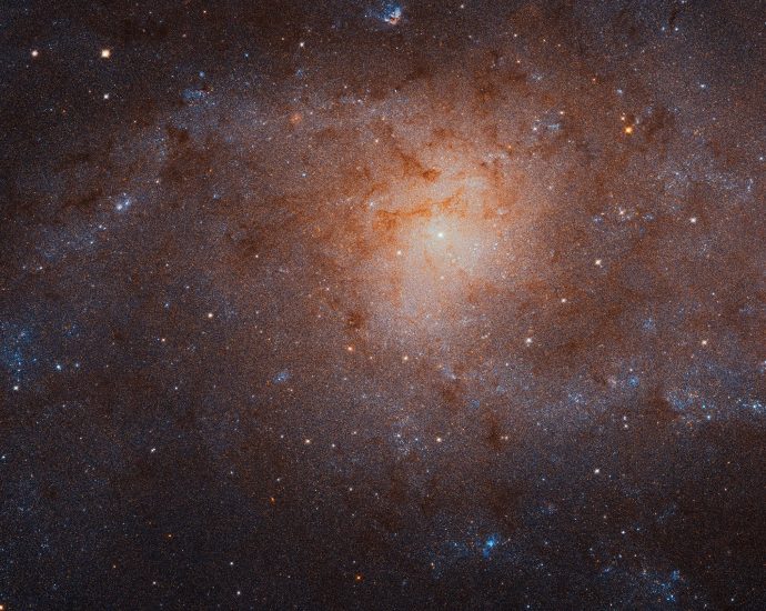 hubble’s-night-sky-challenge-november