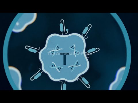 how-car-t-therapy-works-in-autoimmune-diseases