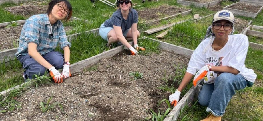 returning-farming-to-city-centers