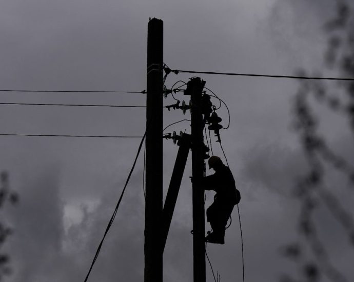 ukraine-anti-corruption-investigation:-kyiv-to-audit-all-state-owned-companies