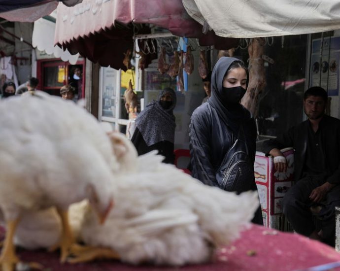 covert-classrooms-and-invisible-incomes:-how-afghan-women-are-resisting