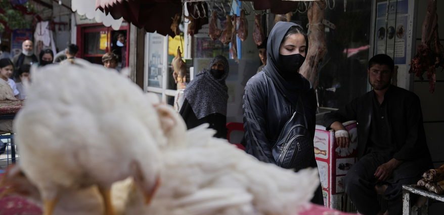 covert-classrooms-and-invisible-incomes:-how-afghan-women-are-resisting