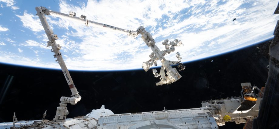 a-robotic-helping-hand