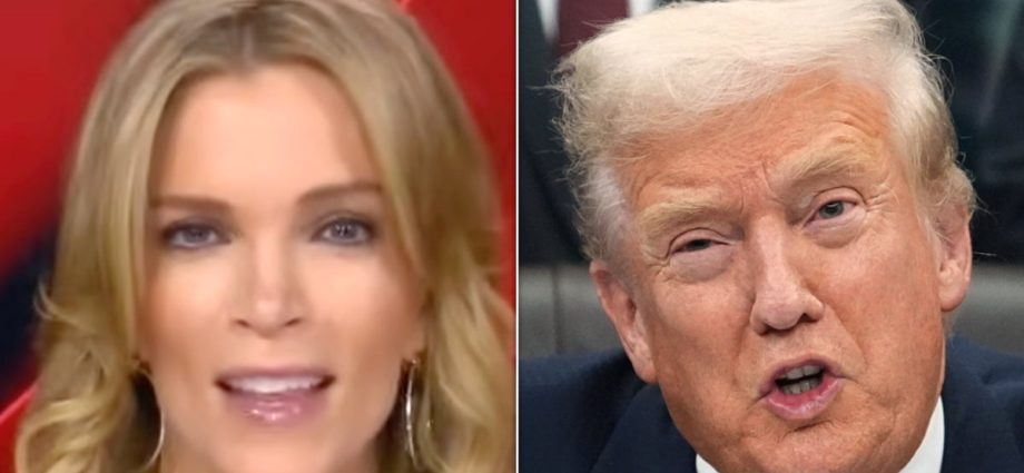 megyn-kelly-knocks-the-traitor-administration-after-epstein-bombshell:-‘self-inflicted-wound’