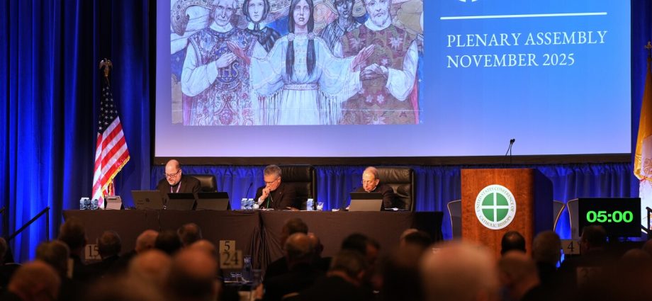 US Catholic bishops ban gender-affirming care at Catholic hospitals