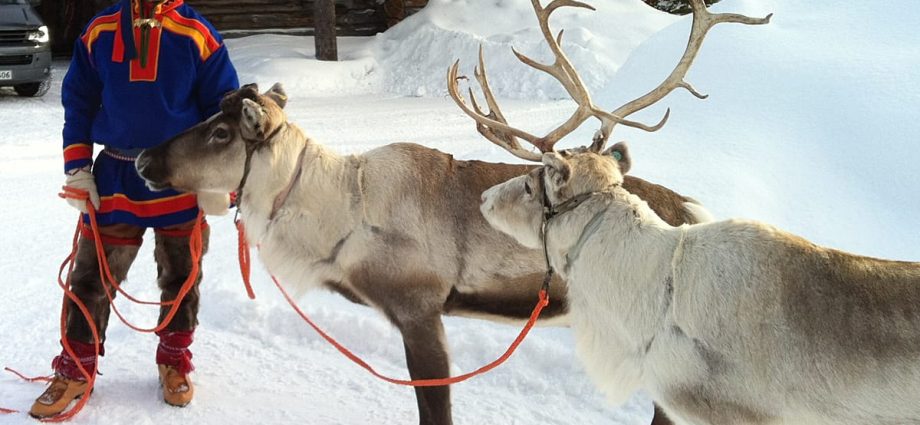 first-snowfall-brings-excitement-to-santa-claus-village-in-lapland