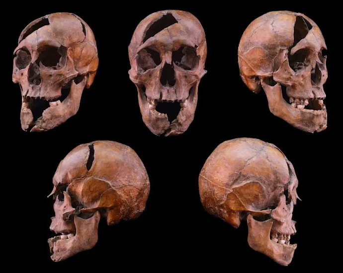 science-finally-solves-a-700-year-old-royal-murder