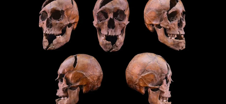 science-finally-solves-a-700-year-old-royal-murder