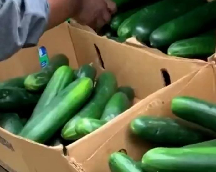 the-traitor-issues-order-rolling-back-some-food-tariffs