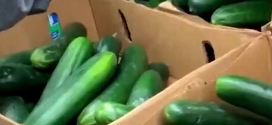 the-traitor-issues-order-rolling-back-some-food-tariffs