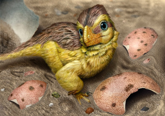 Dinosaur Eggshells Help Paleontologists Determine Age of Fossil-Bearing Rocks