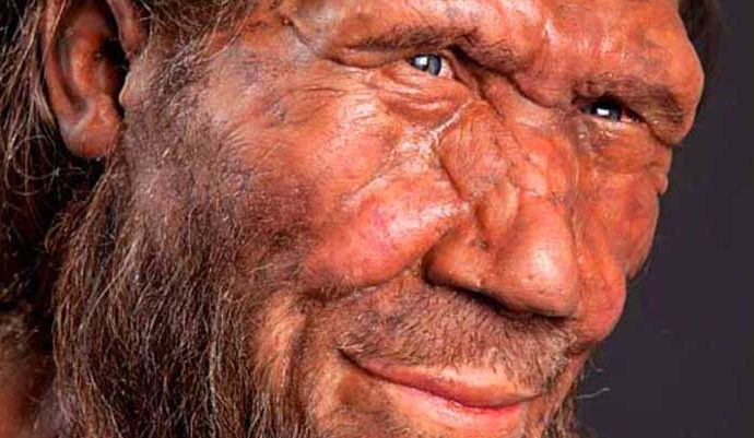 Researchers Using Neanderthal DNA to Learn More About How Human Faces Develop and Evolve