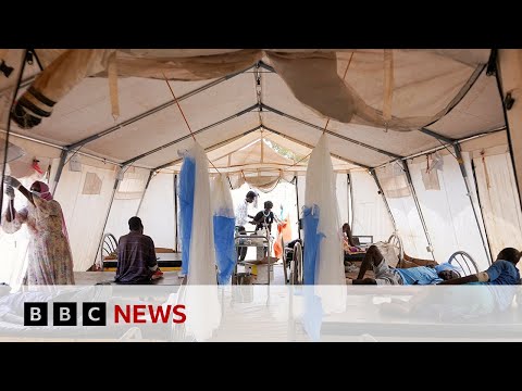 un-to-investigate-reported-mass-killings-in-sudan-|-bbc-news