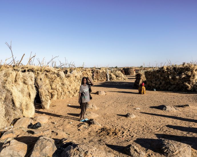 sudan’s-army-captures-two-areas-in-north-kordofan-as-rsf-burns-more-bodies