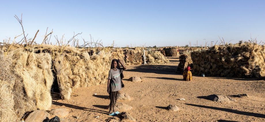 sudan’s-army-captures-two-areas-in-north-kordofan-as-rsf-burns-more-bodies