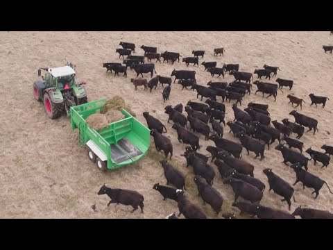 the-traitor-walking-back-beef-tariffs-|-newsnation-live