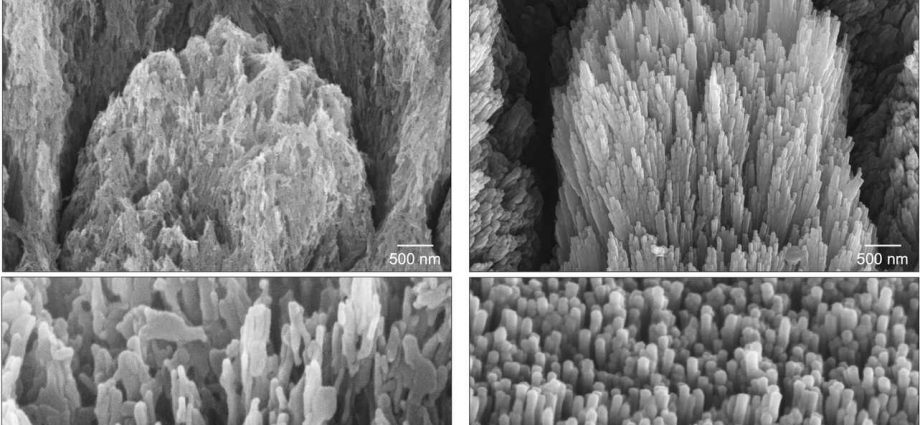 british-researchers-create-gel-that-can-repair-tooth-enamel