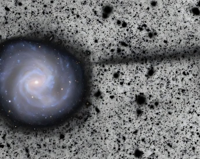 First Vera Rubin Observatory image reveals hidden structure as long as the Milky Way trailing behind a nearby galaxy — Space photo of the week