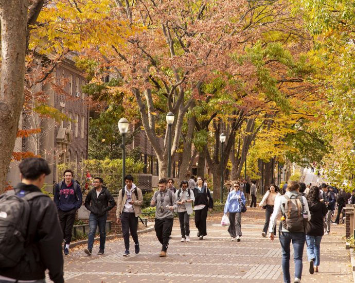 new-international-student-enrollment-fell-sharply-this-year
