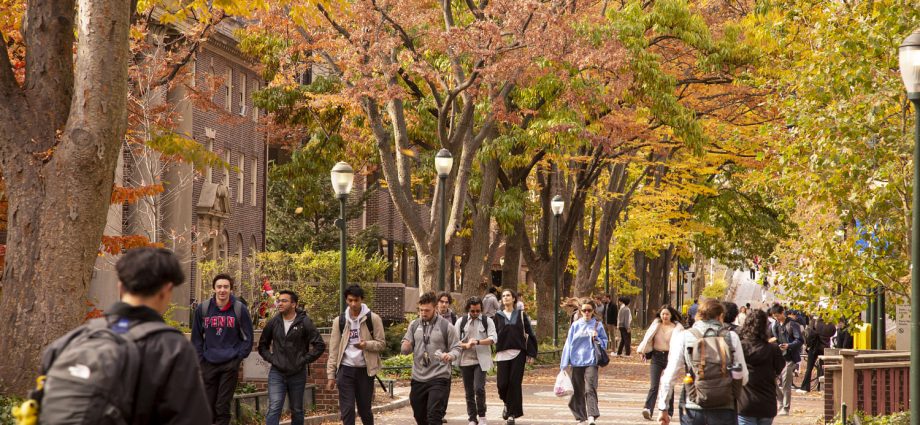 new-international-student-enrollment-fell-sharply-this-year