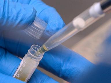 nih-funding-cuts-have-affected-over-74k-people-enrolled-in-experiments,-report-says