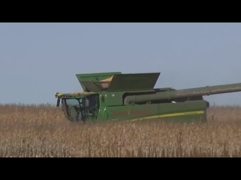 the-traitor-cuts-tariffs-on-beef,-but-farmers-warn-of-long-term-loses-|-newsnation-live