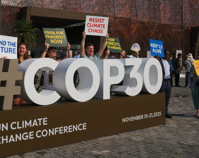 bill-mckibben-sees-cop30-as-a-‘real-opening-for-quicker-progress’