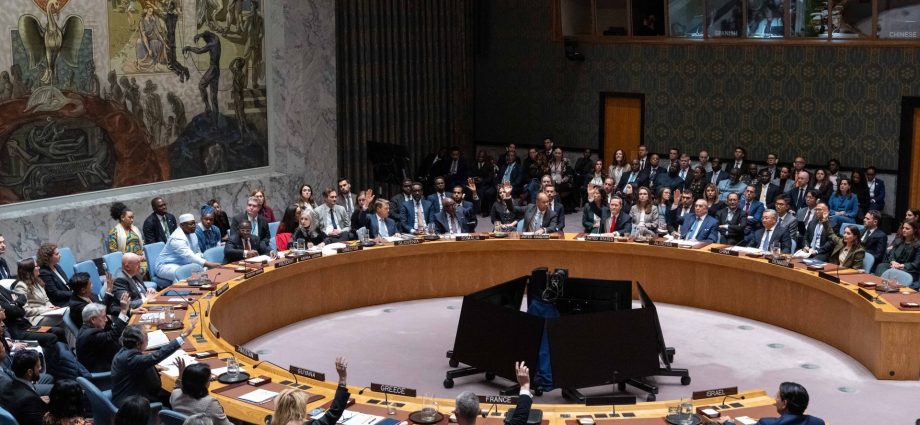 un-security-council-passes-us-resolution-backing-gaza-international-force