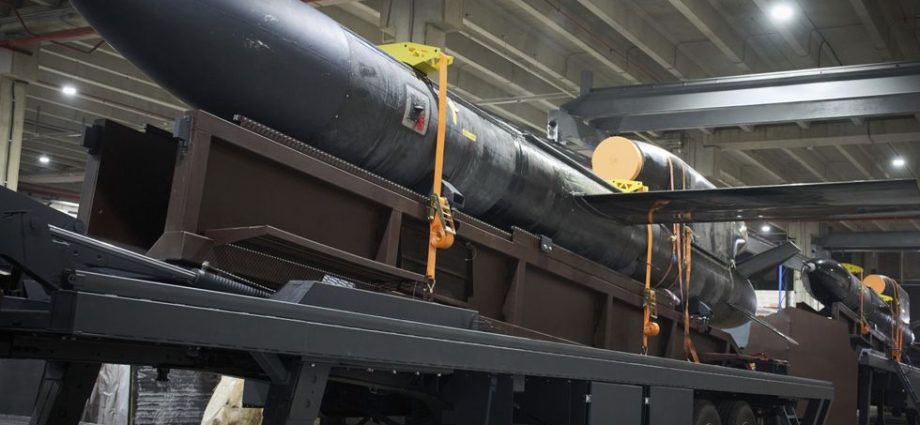 can-a-“flamingo”-cruise-missile-help-ukraine-turn-the-tide?