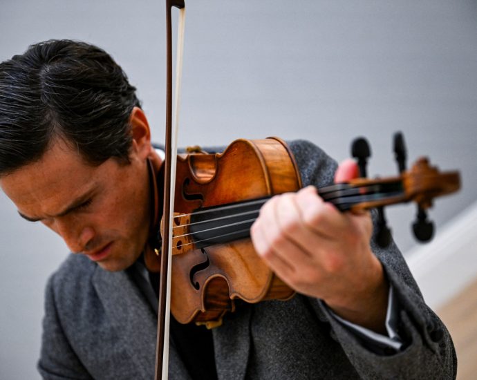 conservationists-want-to-protect-brazilwood.-so-why-are-musicians-alarmed?