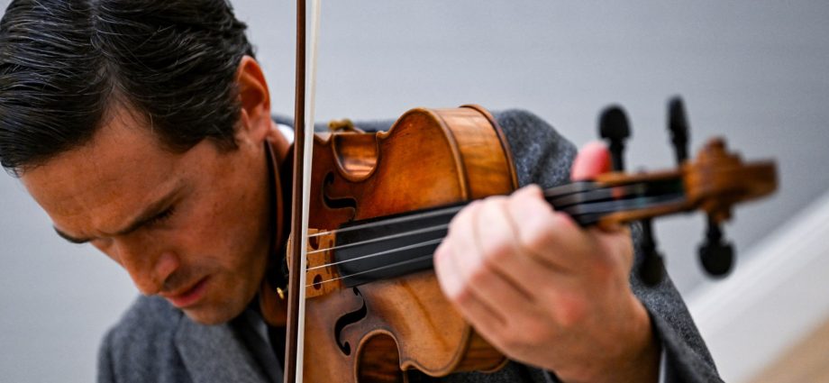 conservationists-want-to-protect-brazilwood.-so-why-are-musicians-alarmed?