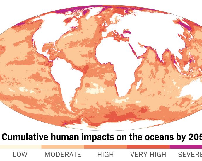 what-the-future-ocean-might-look-like-amid-climate-change,-overfishing-and-more