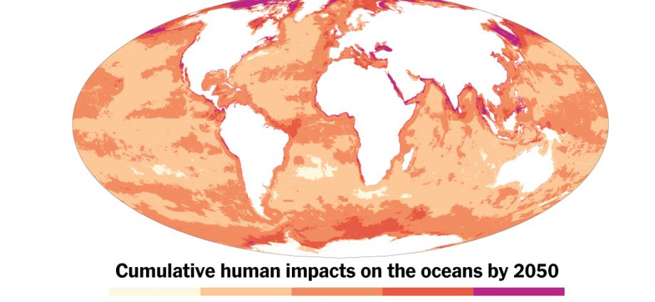 what-the-future-ocean-might-look-like-amid-climate-change,-overfishing-and-more