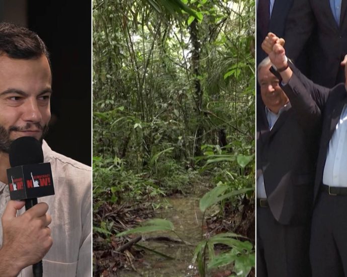 brazil’s-contradictory-climate-policies:-lula-gov’t-reduces-deforestation,-boosts-oil-&-gas-production