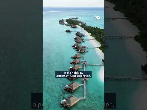 countries-push-for-new-flight-tax-at-cop30-|-dw-news