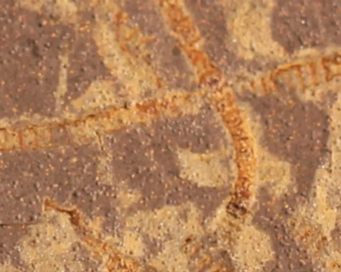 secret-chemical-traces-reveal-life-on-earth-3.-3-billion-years-ago