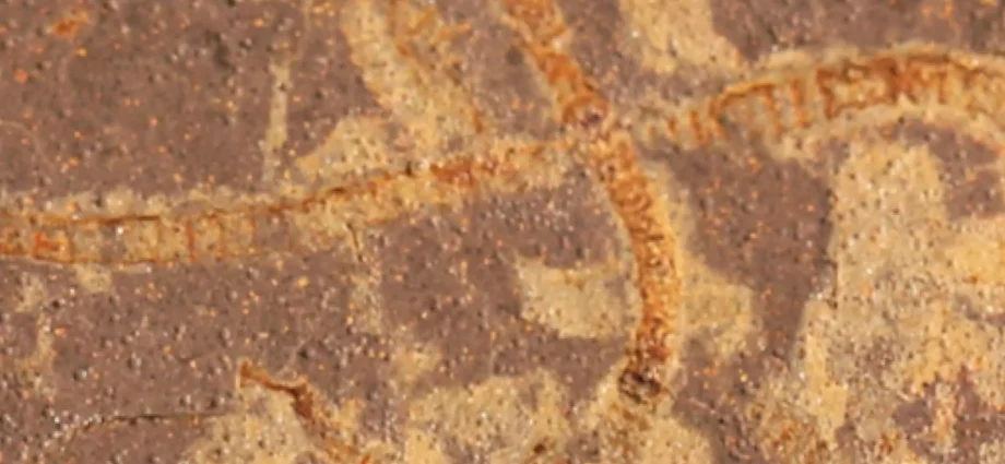 secret-chemical-traces-reveal-life-on-earth-3.-3-billion-years-ago